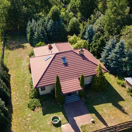 Forest Villa - Pokoje W Poblizu Suntago Krzyzowka  Екстериор снимка